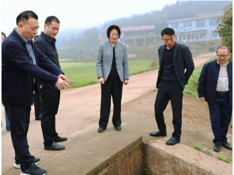 黄海蓉调研群腐集中整治、禁种铲毒工作