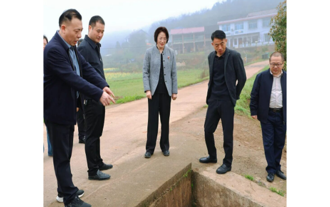 黄海蓉调研群腐集中整治、禁种铲毒工作