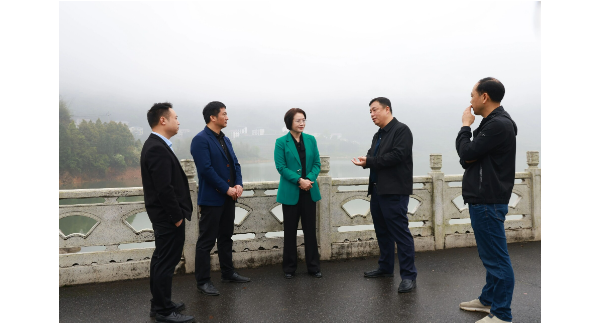 黄海蓉调研防汛备汛、安全生产和社会稳定工作