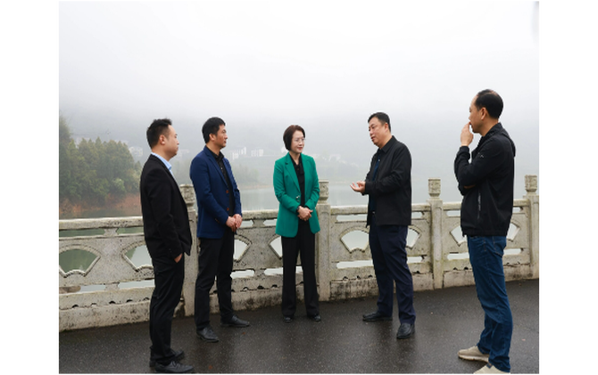 黄海蓉调研防汛备汛、安全生产和社会稳定工作