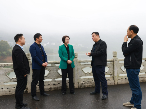 黄海蓉调研防汛备汛、安全生产和社会稳定工作