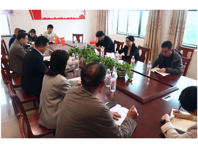 刘洋到陈家坊镇调研当前重点工作