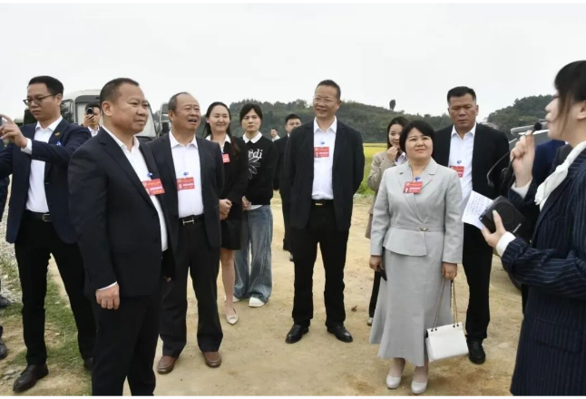 聚力发展低空文旅，县政协首站调研石马江