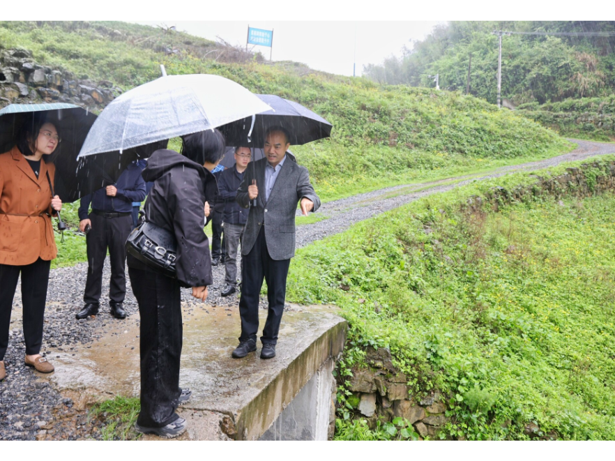 谢小军调研防汛备汛、地质灾害防治等工作