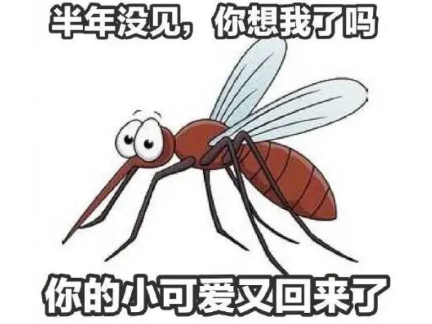 蚊子提前上岗，湖南如何应对？