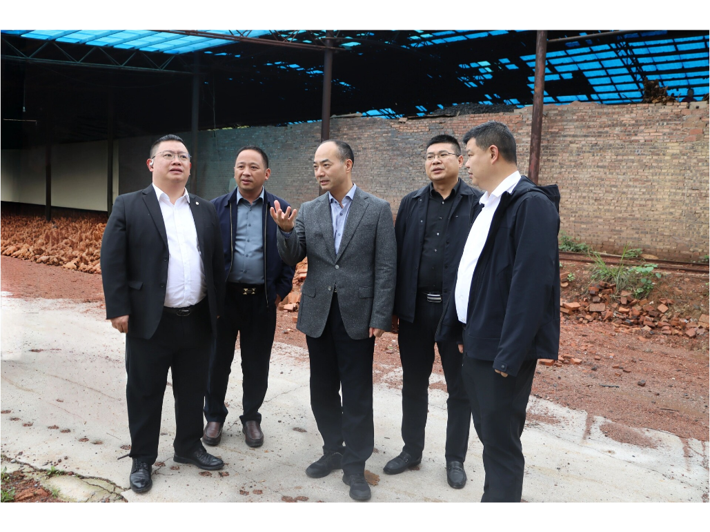 谢小军调研督导生态环境保护工作