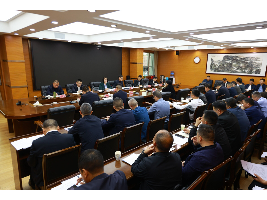 黄海蓉专题调度全县重点领域重大风险防范化解应对工作