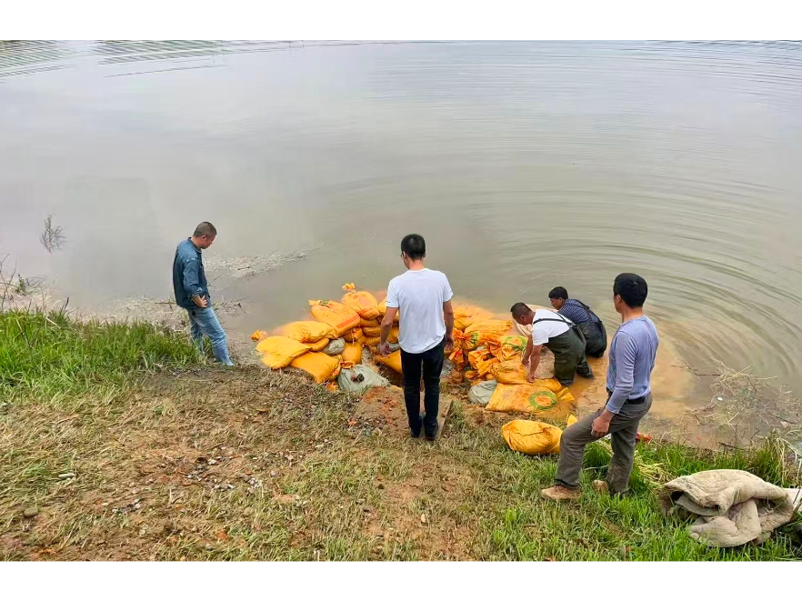 紧急处置，化解山塘溃坝危机！