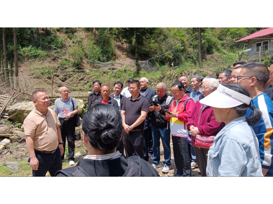 新邵白云诗社赴龙脊村开展采风创作，以传统诗词助力文旅发展