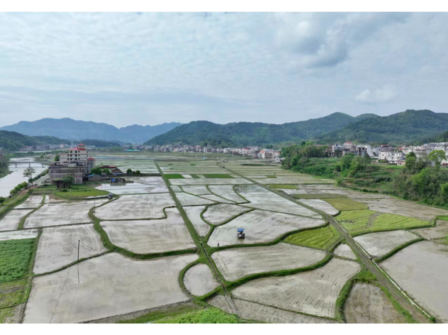 新邵：高标准农田筑根基 春耕生产更有底气