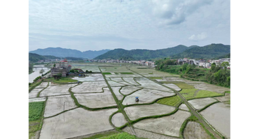 新邵：高标准农田筑根基 春耕生产更有底气