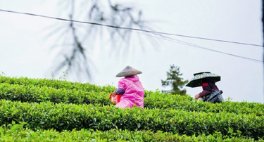 万千气象看湖南，邵阳北靠雪峰山、南依越城岭，资水流贯全境