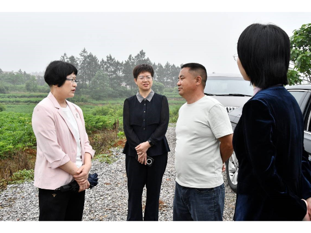 市政协调研组来县调研农业产业发展情况