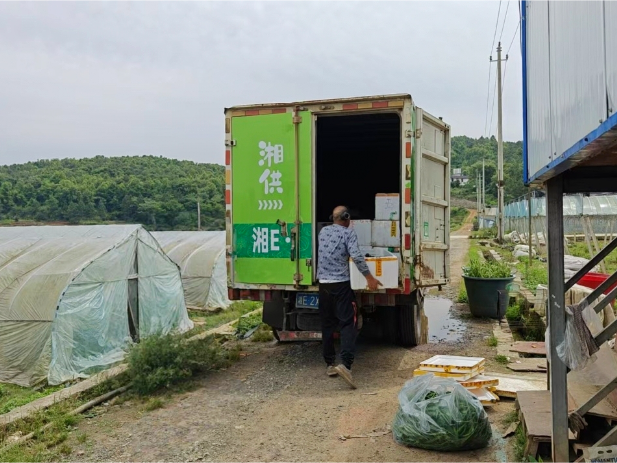 新邵：供销车进田间 菜农卖菜不再难
