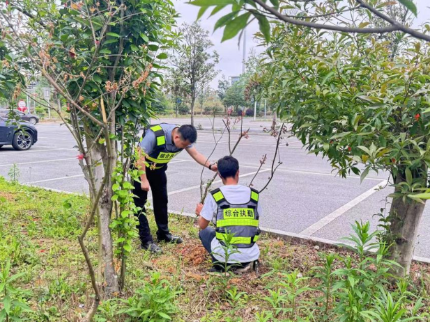 新邵县开展高铁邵阳北站站前秩序专项集中整治行动