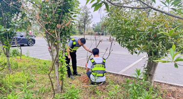 新邵县开展高铁邵阳北站站前秩序专项集中整治行动