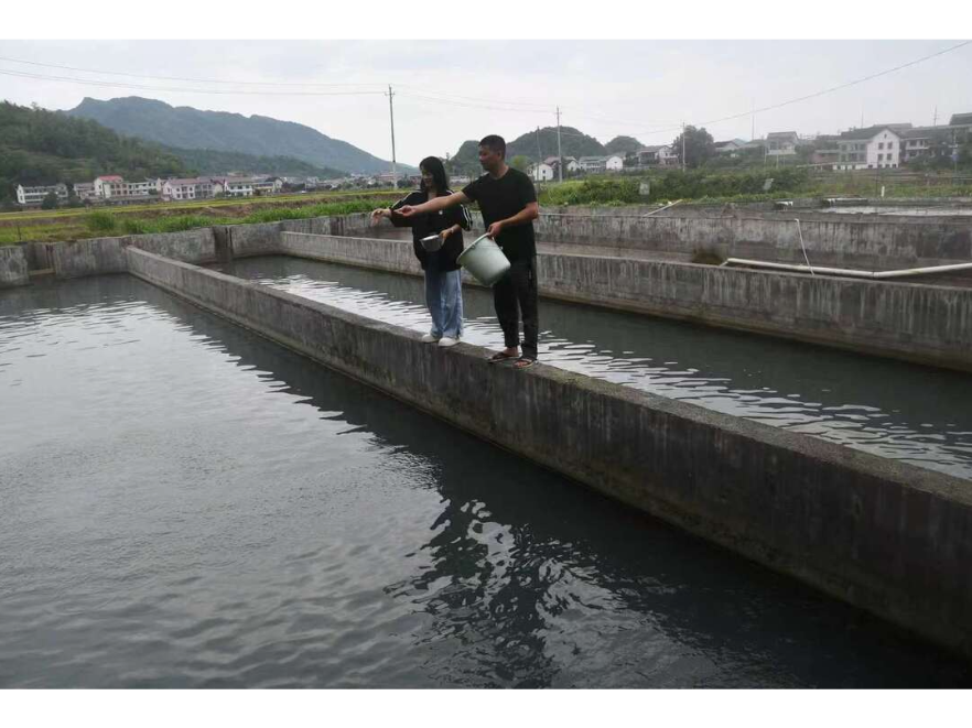 一池山泉水 养出致富鱼