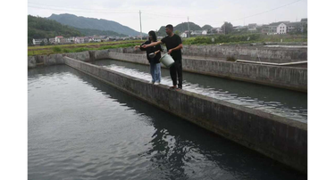 一池山泉水 养出致富鱼