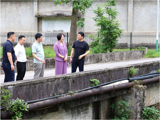 黄海蓉调研督导历史遗留问题化解及防汛工作