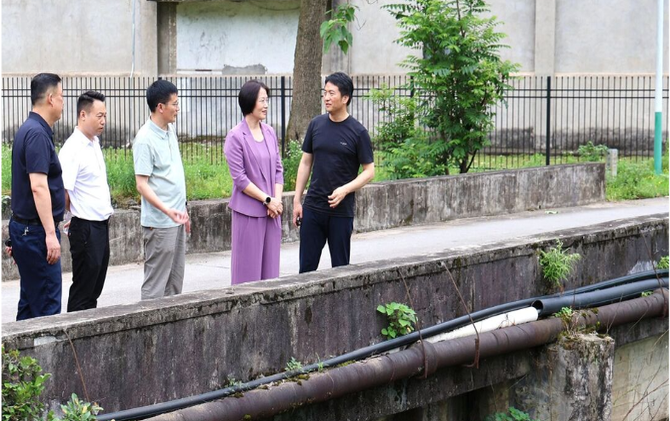 黄海蓉调研督导历史遗留问题化解及防汛工作