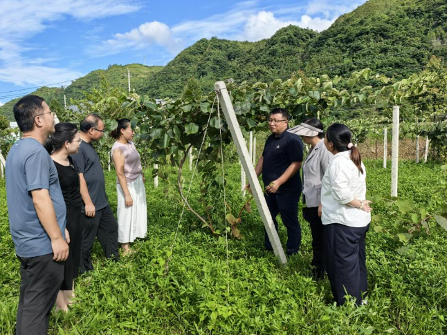 水果博士工作站下沉一线把脉问诊 专家赋能新邵水果产业提质升级