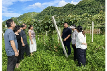 水果博士工作站下沉一线把脉问诊 专家赋能新邵水果产业提质升级