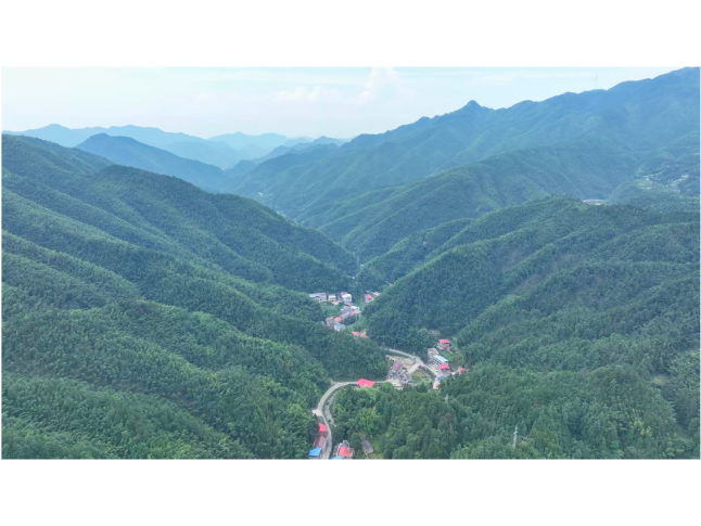 新邵：盘活山林资源 小灵芝铺就致富路