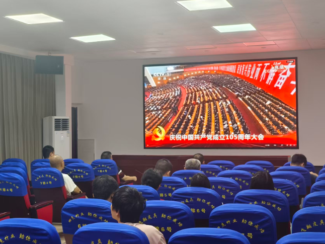 潭府乡组织党员干部集中收看 庆祝中国共产党成立105周年大会实况