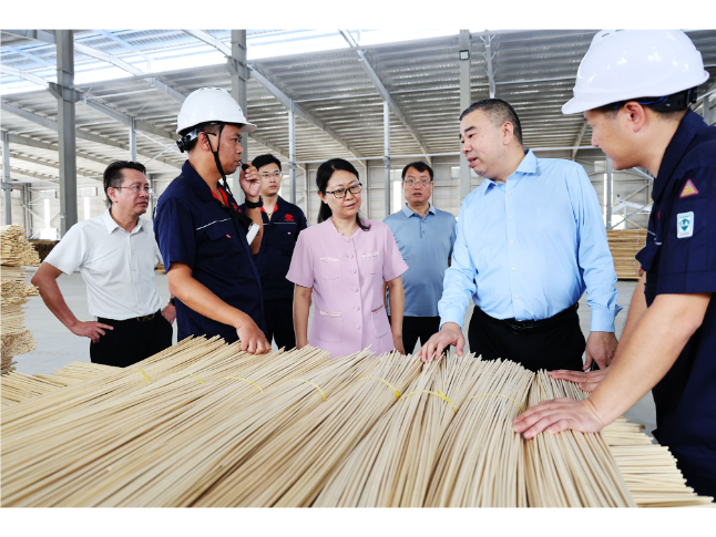 刘洋调研雀塘镇经济社会发展及竹资源综合循环利用项目推进工作