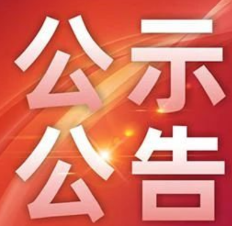 武冈市第六届人民代表大会常务委员会关于任命代表资格审查委员会组成人员的决定