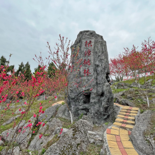 武冈扶塘村：百亩桃花美如画 
