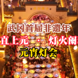 "西直上元·灯火阑珊"——武冈西直街元宵灯会