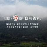 网络中国节·清明”丨微记录：武冈石羊村的山珍野味