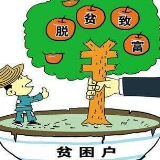 扎实开展“回头看” 巩固提升脱贫攻坚成效