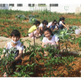 武冈市水西门龙田中心小学：“绿色银行”践行劳动教育