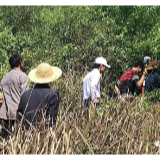 武冈机场北连接线将直通洞新高速