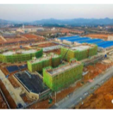 侯文调研重点产业项目建设工作