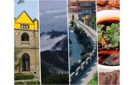 旅发进行时 | 2025武冈旅游精品线路推荐