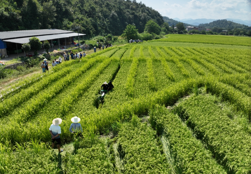 微信截图_20250908194936.png