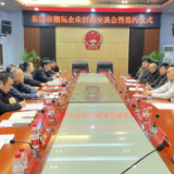 市人民政府与东莞市潮玩企业举行招商座谈会