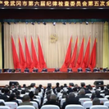 中国共产党武冈市第六届纪律检查委员会第五次全体会议召开