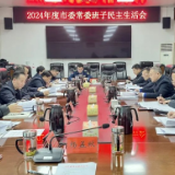 武冈市委常委班子召开2024年度民主生活会