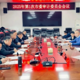 龚畅主持召开2025年第1次市委审计委员会会议