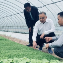 龚畅：全力夯实粮食安全根基