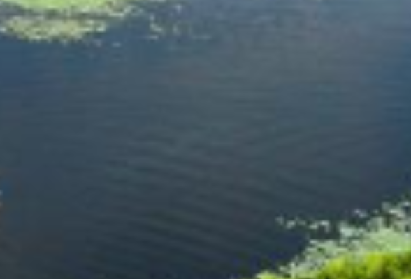 好评中国丨以“投资于人”的温情，守护“朝夕美好”的底色