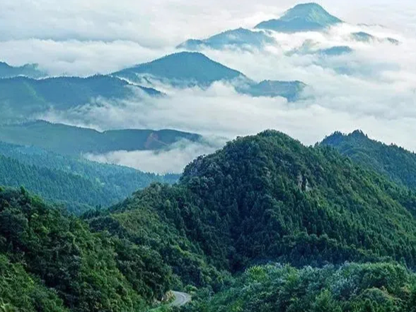 稳住经济基本盘 激活三湘高质量发展新活力