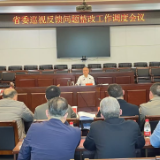 龚畅调度省委巡视反馈问题整改工作