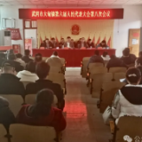 大甸镇召开六届人大八次会议描绘乡村振兴新蓝图