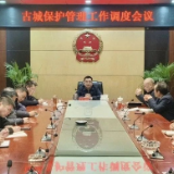 唐伟文专题调度古城保护管理工作
