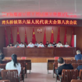 湾头桥镇第六届人民代表大会第八次会议胜利召开